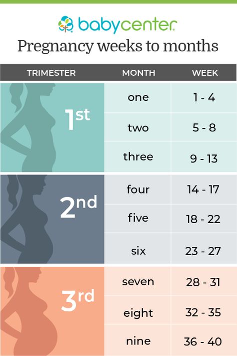 illustrated chart detailing how to count your pregnancy in trimesters months and weeks Trimester Chart, Pregnancy Chart, 5 Weeks Pregnant, Pregnancy Info, Baby Life Hacks, Pregnancy Information, Baby Sleep Problems, Pregnancy Months, Trimesters Of Pregnancy