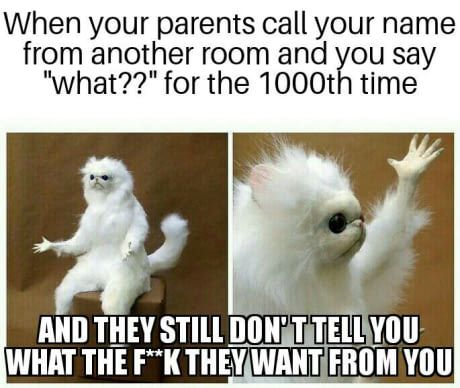 Annoying parents.. Annoying Parents Quotes, Annoyed Quotes, Annoying Parents, I Dont Need Anyone, Annoying Things, Relatable Things, Fun Snacks For Kids, Sports Memes, Parenting Memes