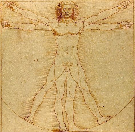 The Vitruvian Man by Leonardo da Vinci Leonardo Da Vinci Dibujos, Da Vinci Vitruvian Man, Venice Travel Guide, Giovanni Bellini, Vitruvian Man, World Icon, Sun Tzu, Venice Travel, Easy A