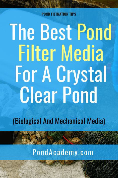 Diy Koi Pond Filter System, Diy Pond Filter How To Make, Koi Pond Filter System, Pond Filter Diy, Pond Natural, Pond Pumps And Filters, Farm Ponds, Pond Building, Pond Filter Media