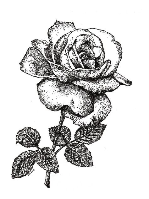 rose stippling Stippling Drawing, Ink Flowers, Stippling Art, Cross Hatching, Rose Painting, Stippling, Game Ui, Tattoo Inspo, Pen And Ink