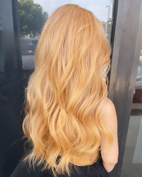 35 Golden Blonde Hair Ideas for a Radiant Look in 2024 - divagaze.com Blonde And Strawberry Blonde Highlights, Apricot Hair Color, Blonde And Strawberry Blonde, Ginger Blonde Hair, Apricot Hair, Perfect Blonde Hair, Bright Highlights, Rare Colors, Strawberry Blonde Hair Color