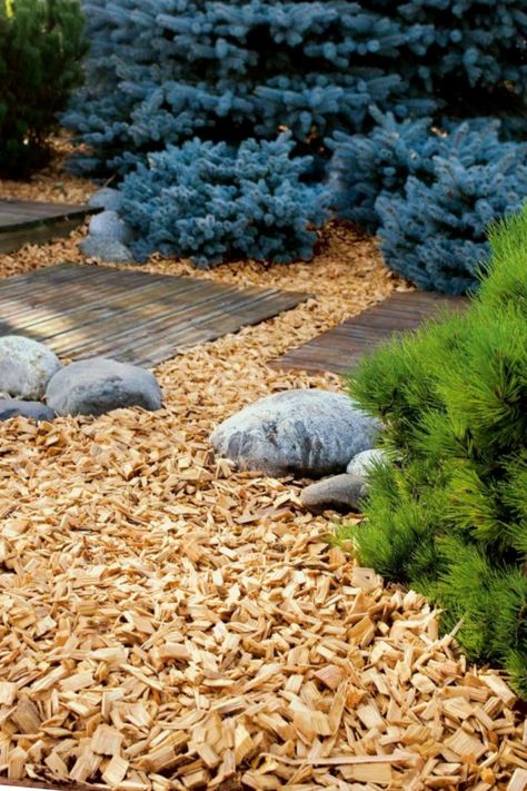 Wood Chip Garden, Wood Chips Landscaping, Wood Chips Garden, Wood Chip Mulch, Potted Olive Tree, Hill Landscape, Types Of Mulch, Landscaping Decor, Mulch Landscaping