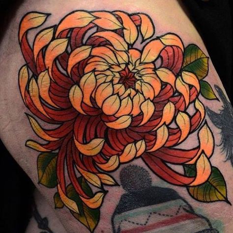 70 Likes, 1 Comments - Inkluded ✌️ (@inkludedtattoo) on Instagram: “Stunning #chrysanthemum tattoo by Daryl Watson @darylwatsontattoo @rocknrolltattoodundee DUNDEE,…” Midnight Tattoo, Yellow Flower Tattoos, Crisantemo Tattoo, Chrysanthemum Flower Tattoo, Ariel Tattoo, Mum Tattoo, Japanese Flower Tattoo, Traditional Tattoo Flowers, Chrysanthemum Tattoo