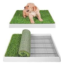 Fake Grass For Dogs, Dog Turf, Porch Potty, Indoor Dog Potty, Dog Litter Box, Pet Training Pads, Puppy Pads Training, Dog Pee Pads, Potty Pads