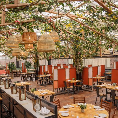 Open Restaurant Design, Rooftop Restaurants Nyc, Backyard Restaurant, Rooftop Restaurant Design, Open Air Restaurant, Open Restaurant, Rooftop Dining, Farm Restaurant, Outdoor Restaurant Design