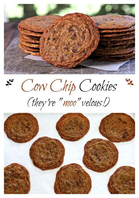 Cow Chip Cookies. These chewy, buttery, chocolatey cookies w/crispy edges will become a family-favorite chocolate chip cookie. I dare you to eat just one. Simply Sated Cow Patties, Cow Pies, Midnight Munchies, Giant Cookies, Jar Cookies, Lace Cookies, Rock Recipes, Crispy Cookies, Fresh Baked Cookies