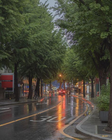 England Rainy Day, Rainy Day In Korea, Rainy Summer Day Aesthetic, Rainy Neighborhood Aesthetic, Rainy Washington Aesthetic, Korea Rain Aesthetic, Korea Asthetic Picture, Korea Fall Aesthetic, Rainy Afternoon Aesthetic