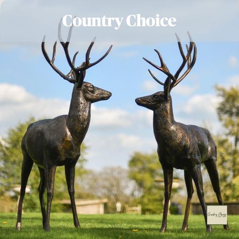 Lodge Aesthetic, Deer Sculpture, Horseshoe Crafts Projects, Pig Sculpture, Delicate Features, Sculpture Garden, Garden Statue, Outdoor Statues, Outdoor Sculpture