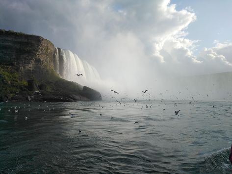 The Niagara Falls in Autumn... Niagara Falls Ontario Canada [4160x3120] [OC]  Click the link for this photo in Original Resolution.  If you have Twitter follow twitter.com/lifeporn5 for more cool photos.  Thank you author: https://bit.ly/356v20u  Broadcasted to you on Pinterest by pinterest.com/sasha_limm  Have The Nice Life! Niagara Falls Photos, Jim And Pam Niagara Falls, Cave Of The Winds Niagara Falls, White Water Walk Niagara Falls, Bird Kingdom Niagara Falls, Nice Life, Niagara Falls Ontario, Background Nature, Earth Nature