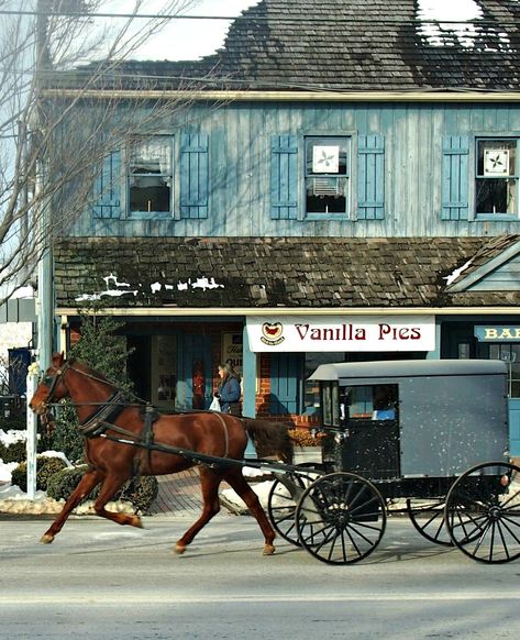 Amish buggy, Amish country Lancaster Pennsylvania. An amazing and beautiful part of the USA  http://worldtravelfamily.com Amish Country Lancaster Pa, Amish Village, Amish Country Pennsylvania, Amish Buggy, Amish Pennsylvania, Pennsylvania Dutch Country, Amish Culture, Pennsylvania Travel, Lancaster Pennsylvania