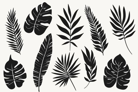 Set of tropical leaves silhouettes. Exotic jungle palm leaf silhouettes isolated on white background Tropical Leaves Illustration, Leaf Silhouette, Jungle Leaves, Leaves Illustration, Heart Tree, Cityscape Photos, Logo Banners, Nature Backgrounds, Heart With Arrow