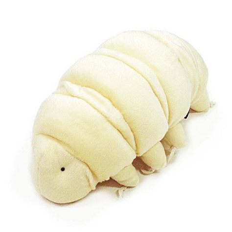 tardigrade-white-sm Beetle Plush, Silly Plushies, Anime Merchandise, Cute Stuffed Animals, Water Bear, Stuffed Toy, Bear Plush, Plush Animals, Gag Gifts