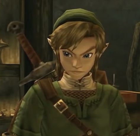 Link Twilight Princess Official Art, Old Link Zelda, Tp Link Icon, Twilight Princess Pfp, Twilight Princess Icon, Pfp Pixel, Link Pfp, Twilight Link, Twilight Princess Link