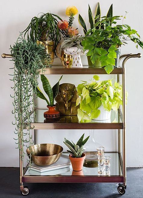 The bar cart trend was huge. We all found ourselves scouring Craiglist for a vintage cart to stock with gold-rimmed Koti Diy, Deco Jungle, Support Pour Plante, Pub Set, Metal Tree Wall Art, Bar Cart Decor, Metal Tree, Tree Wall, Types Of Plants