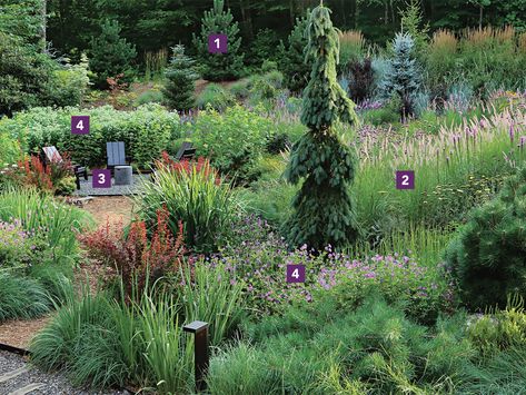 Meadowscape Yard, Firewise Landscaping, Stylized Meadow, Flower List, Outdoor Fire Pit Area, Fine Gardening Magazine, Naturalistic Garden, Meadow Landscape, Garden Therapy