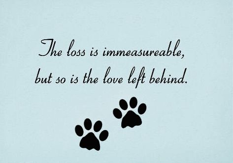 Losing A Dog Quotes, Losing A Pet Quotes, Miss My Dog, Pet Quotes, Dog Poems, Pet Sympathy Cards, Dog Quotes Love, Heaven Quotes, Dog Heaven