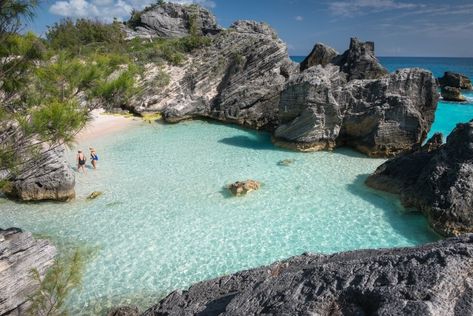 Horseshoe Bay Beach Reviews | U.S. News Travel Elbow Beach Bermuda, Horseshoe Bay, Port Royal, Tourism Website, Famous Beaches, Beach Road, Ocean Beach, Resort Spa, Cruise Ship