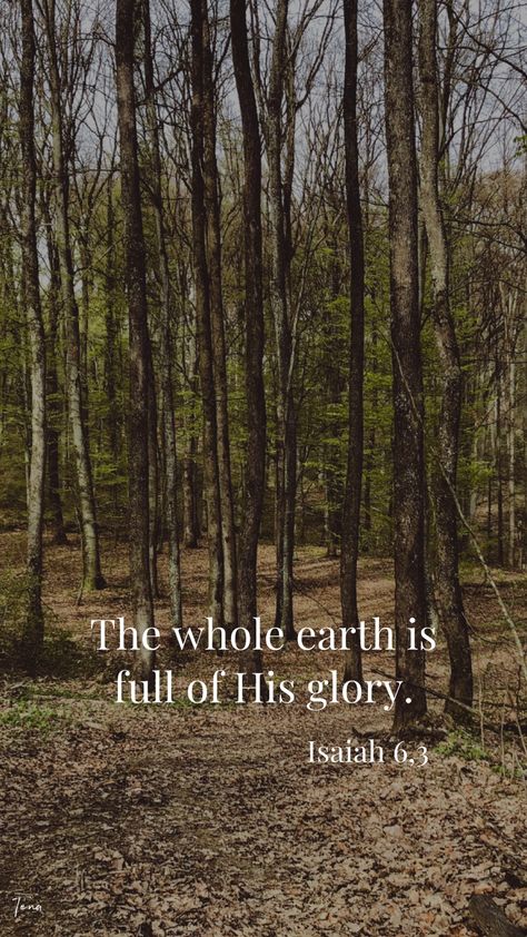 Bible Verses About The Beautiful Earth, Bible Verse About Beautiful Creation, Nature Wallpaper With Bible Verse, Bible Verse About Beauty Of Nature, Bible Nature Quotes, Quotes About Gods Creation Nature, Give God The Glory Quotes, Scripture About Natures Beauty, Bible Verse About Nature Beauty