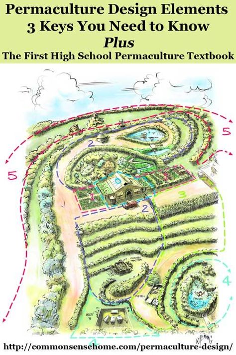 Permaculture Design - 3 Key Elements You Need to Know, Plus an Introduction to the First High School Permaculture Textbook, The Permaculture Student Plan Potager Permaculture, Mandala Garden, Design Seed, Food Forest Garden, Permaculture Garden, Aquaponics Diy, Farm Layout, Permaculture Gardening, Permaculture Design