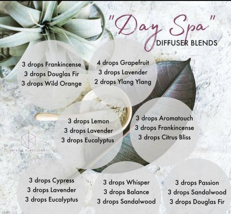 Chill Out Diffuser Blend, Essential Oil Blends Relaxation, Doterra Relaxing Diffuser Blends, Spa Blend Essential Oils Diffuser, Clean Smelling Essential Oil Blends, Relaxing Diffuser Blend Doterra, Peaceful Essential Oil Blend Diffuser, Doterra Spa Diffuser Blends, Spa Blend Essential Oils