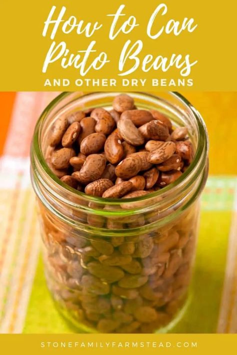 Best Pinto Beans Ever, Canning Pinto Beans, Chili Burritos, Canning Beans, Canned Salsa Recipes, Canning Rack, Pinto Bean Recipes, Beans Recipes, Bean Chili Recipe