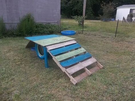 Goat Platform, Pallet Playground, Dog Agility Course Diy, Dog Park Ideas, Dog Play Area, Puppy Playground, Stained Plywood, Dog Friendly Backyard, Dog Backyard