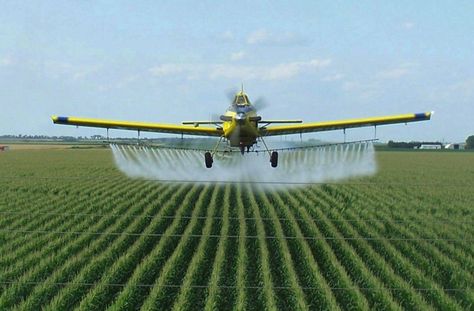 August 3  National Airplane Crop Duster Day Agent Orange, Genetically Modified, Pesticides, Genetic, Get The Job, Pediatrics, Agriculture, Aircraft, Health