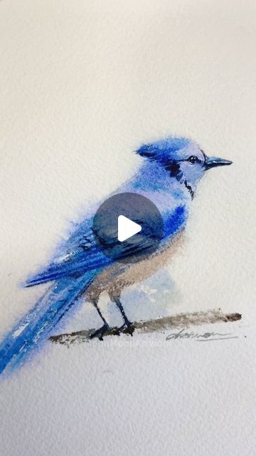 Winnie WATERCOLOR ARTIST on Instagram: "✨Today's painting is Blue Jay. It is No.7 painting of 100-birds challenge! I  If you're intereted in learning watercolor painting, I've got just the thing for you! Join my Patreon page, and you'll gain exclusive access to a library filled with over 100 Realtime Ad-Free Watercolor painting tutorials, including 50+ tutorials with voiceover. Check link in my bio.  The fine point Chinese calligraphy brush is available on my website. Order it via a link in my bio.  #bluejay #paintingtutorial #paintingstepbystep #littlebirdpainting #birdpainting #easywatercolor #watercolorbird #watercolorart #bluejaypainting #bluejaybird  #bluejaywatercolor #beginnerwatercolor#howtopaintabird #watercolorprocessvideo #watercolorprocess #cutebirdart #cutepainting #smallpaint Watercolor Bird Tutorial Step By Step, Bluejay Painting, Pal Tiya, Watercolor Birds Tutorial, Learning Watercolor, Chinese Calligraphy Brush, Blue Jay Bird, Learn Watercolor Painting, Watercolor Birds