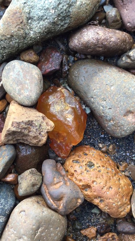 Rock Aesthetic, Mermaid Tears, Brown Eyed Girls, Beach Rocks, Shell Beach, Sea Pottery, Rock Collection, Beach Combing, Rock Hounding