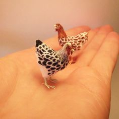 142 Realistic And Biologically Accurate Miniature Animals By Hungarian Artist Fanni Sandor Doll House Pets, Miniature Artist, Chicken Crafts, Doll House Crafts, Polymer Clay Animals, Polymer Clay Miniatures, Clay Animals, Belem, Miniature Animals