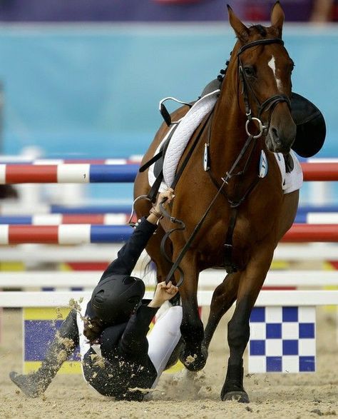 Horse Falls, Riding Pictures, Modern Pentathlon, People Falling, Horse Riding Quotes, Show Jumping Horses, Equestrian Aesthetic, Horse Videos, Horse Aesthetic