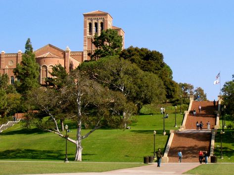 Ucla Dorm, Therapeutic Writing, Therapeutic Techniques, Dissertation Defense, Ucla University, Ucla Campus, Review Writing, Introduction Paragraph, Science Camp