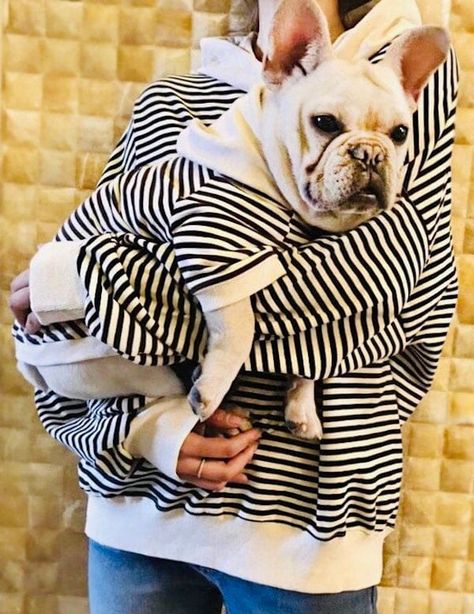 Match Your Pup Striped Dog And Owner Hoodie Family Clothes, French Bulldog Clothes, Dog And Owner, Dog Pitbull, Pitbull Shirts, Clothes Shirt, French Bulldog Dog, Animal Sweatshirt, Pet Shirts