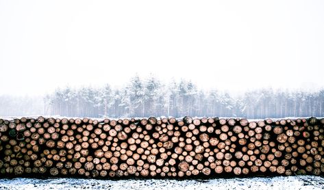 Firewood Storage in Winter | Talmage Farm Agway Stacked Firewood, Ipad Air Wallpaper, Wood Heat, Wood Pile, Log Siding, Firewood Rack, Wood Trunk, Firewood Storage, Into The Wood