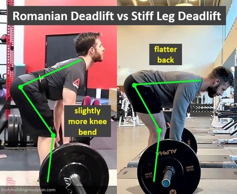 Romanian Deadlift vs Stiff Leg Deadlift Romanian Deadlift Smith Machine, Types Of Deadlifts, Romanian Deadlift Form, Smith Machine Deadlift, Lean Muscle Diet, Trap Bar Deadlift, Straight Leg Deadlift, Deadlift Form, Deadlift Variations