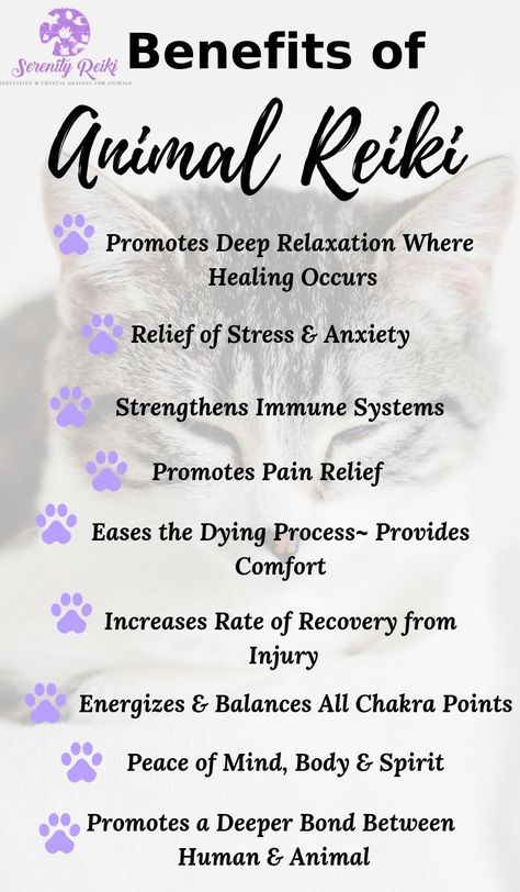 Reiki Benefits, Distance Reiki, What Is Reiki, Reiki Courses, Reiki Therapy, Animal Reiki, Learn Reiki, Strengthen Immune System, Relaxation Spa