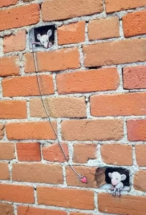 David Zinn, Cute Mice, Brick Art, Sidewalk Chalk Art, Sidewalk Art, Amazing Street Art, 3d Street Art, Deco Originale, Murals Street Art