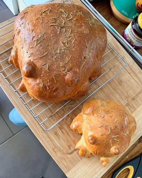 Frog-shaped bread 🐸 🍞   cottagecore bread baking froggies frog Frog Bread, Cottagecore Baking, Cottagecore Recipes, Cottagecore Food, Pane Dolce, Cute Baking, Cafe Food, Pretty Food, Cute Food