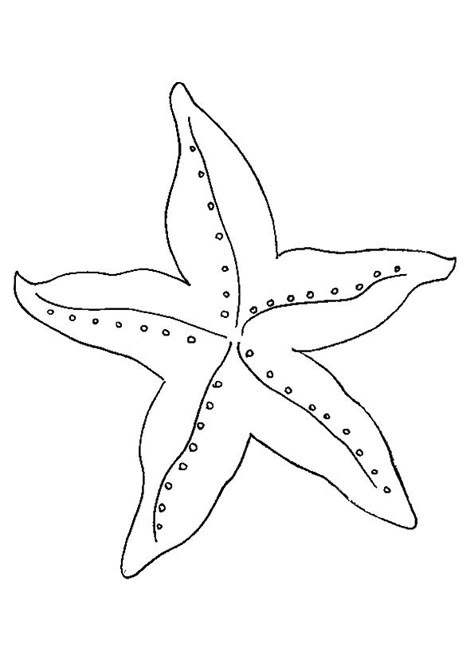 Top 10 Starfish Coloring Pages For Your Little Ones Starfish Drawing, Starfish Colors, Beach Crafts, Coloring Pages To Print, Ocean Themes, Stained Glass Patterns, Animal Coloring Pages, Applique Quilts, Mosaic Patterns