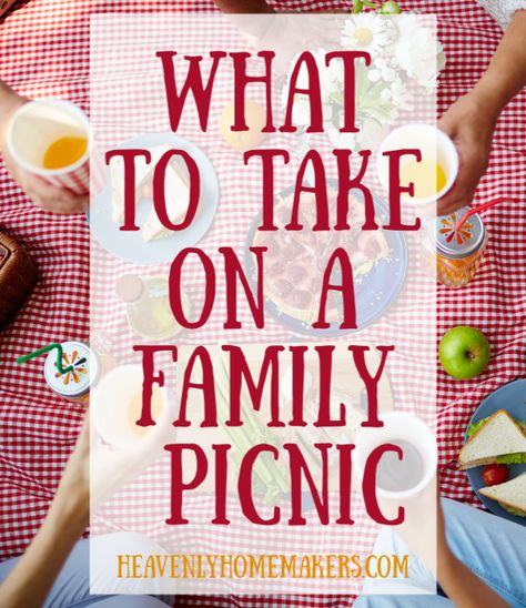 Food For A Picnic Summer, What To Take On A Picnic, Picnic Ideas For Family, What To Take To A Picnic, Picnic Hacks Outdoor, Family Picnic Food Ideas, Picnic Meal Ideas, Family Picnic Ideas, Picnic Ideas For Kids