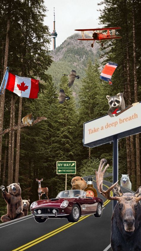 Canada 🍁 #canada #nature #canadian #canada day #home #forest #animals #car #maplesyrup #canadiananimals #highway #road #woods #flag #cars #happy #july #mapleleafs #sign #roadsign #explore Canada Day Aesthetic, Canada Vibes, Where's Waldo Costume, Waldo Costume, Canada Aesthetic, Canada Nature, Canadian Animals, Home Forest, Famous Painters