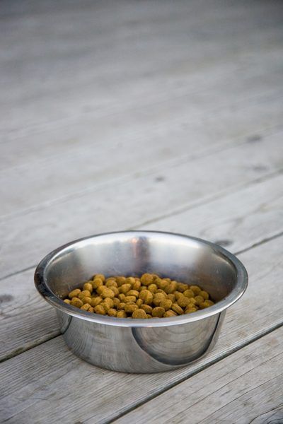 Jupiterimages/Photos.com/Getty Images Dog Kibble Recipe, Dog Kibble, Make Dog Food, Diy Dog Food, Dog Treats Homemade Recipes, Food Dog, Healthy Dog Food Recipes, Puppy Food, Dog Recipes