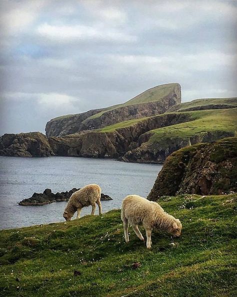 Scotland Cottage, Scottish Scenery, Irish Landscapes, Worldly Things, Scotland Aesthetic, Shetland Scotland, Pictures Of Beautiful Places, Scottish Countryside, Uk Beaches