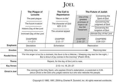 Book of Joel Overview - Insight for Living Ministries Joel Bible, Bible Outline, Bible Overview, Word Symbols, Old Testament Bible, Bible Resources, Bible Study Help, Understanding The Bible, Hope In God