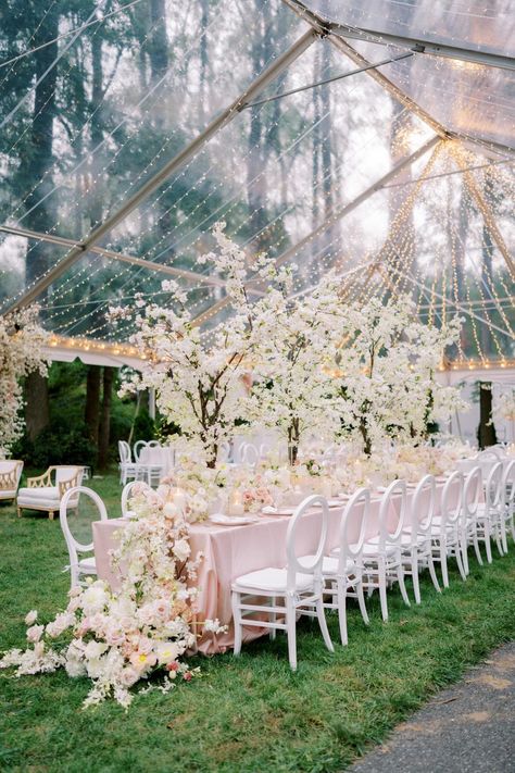 This Custom Clear Tent At The Bride's Family Home Was Adorned With 26,000 Twinkle Lights Clear Wedding Tent, Backyard Wedding Photography, Romantic Backyard, Clear Tent, Greenhouse Wedding, Wedding Tent, Bridal Inspiration, Twinkle Lights, Backyard Wedding