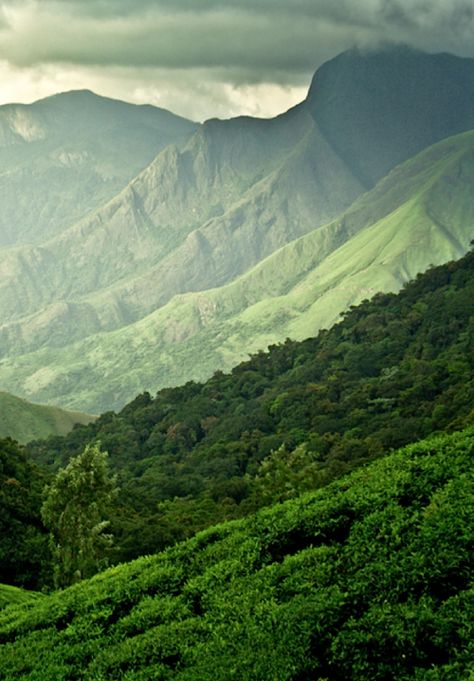 Green Hills. Green Mountain, Lush Green, Kauai, Mobile Wallpaper, Nature Beauty, Beautiful World, Beautiful Landscapes, Wonders Of The World, Habitat