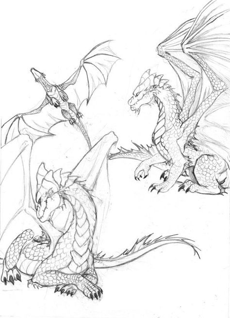 Dragon Poses, Dragon Anatomy, Dragon Drawings, Eyes Artwork, Dragon Sketch, Creature Drawings, Desenho Tattoo, Dragon Artwork, Dragon Drawing