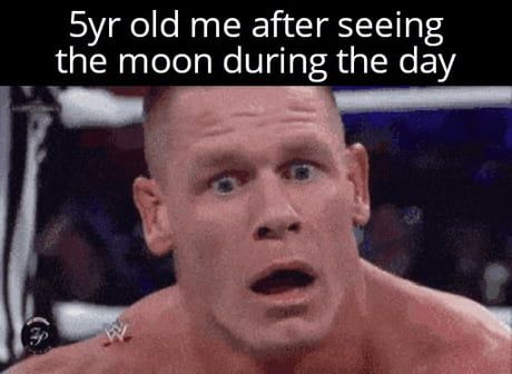 Wwe Funny, Morning Humor, Satire, Best Memes, Dankest Memes, Really Funny, I Laughed, Funny Jokes, Funny Gif