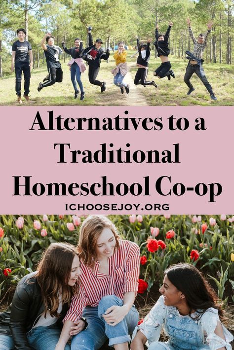 Alternatives to a Traditional Homeschool Co-op When a Co-op Isn't An Option - I Choose Joy! Homeschool Nook, High School Homeschool, Homeschool Coop, I Choose Joy, Homeschool Music, Mom Group, School Choice, Homeschool Tips, Homeschool Encouragement